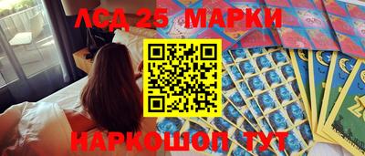 a pvp Новозыбков
