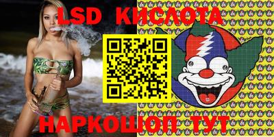 a pvp Новозыбков
