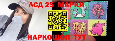 a pvp Новозыбков