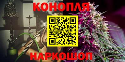 a pvp Новозыбков