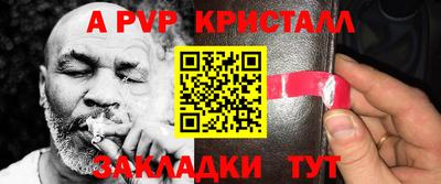 a pvp Новозыбков