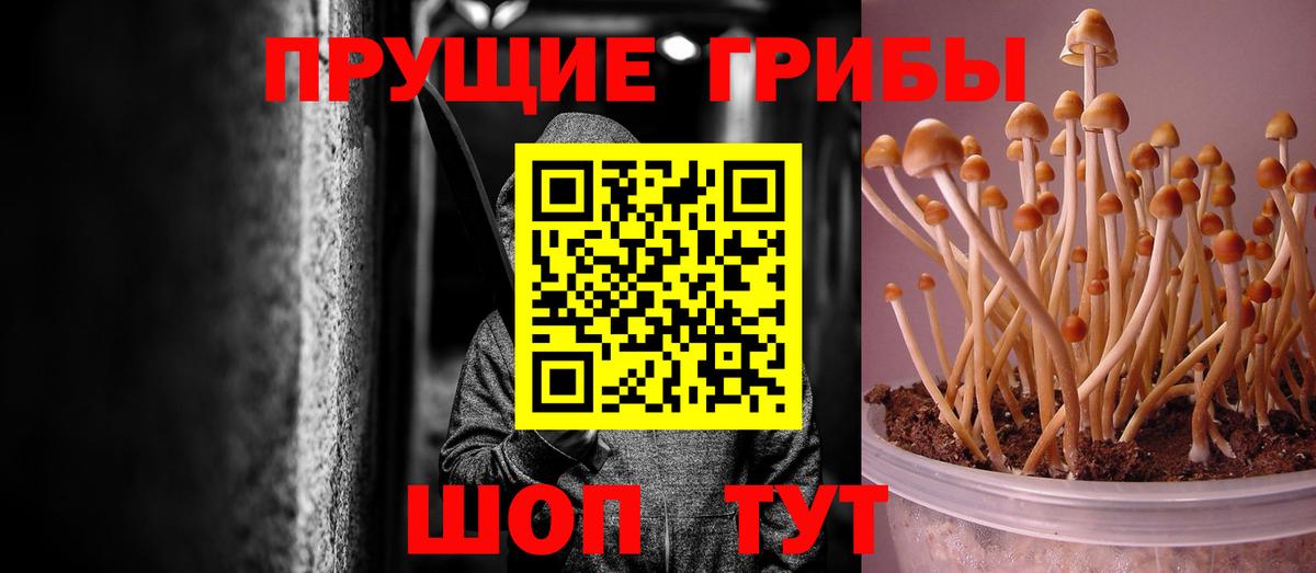Галлюциногенные грибы мицелий  купить наркотики сайты  Галлюциногенные грибы MAGIC MUSHROOMS  Ухта  Вход с VPN 
